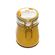Мёд Серебристый Лох (600 гр), Вес, г: 600